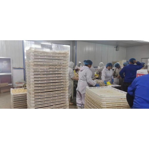 廠家直銷 速凍餃子盤 海鮮速凍盤 速凍盤絲花卷