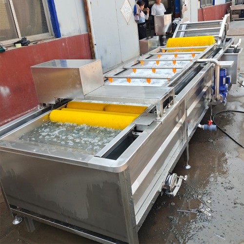 木耳清洗機  辣椒清洗機  銀耳清洗機  型號齊全