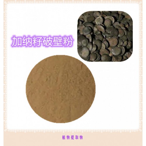 加納籽粉 加納籽提取物 加納籽浸膏   加納籽破壁粉