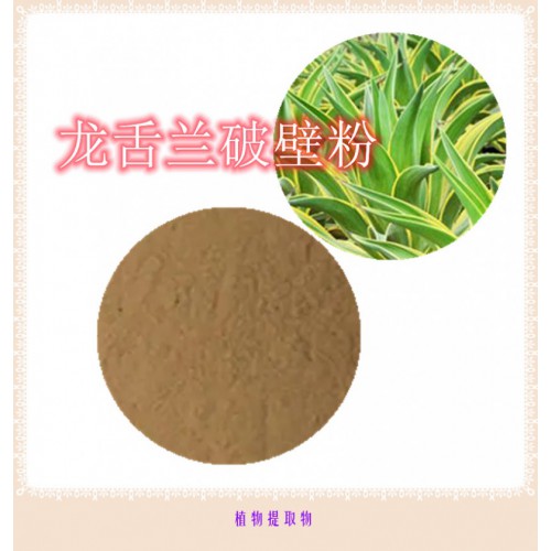 龍舌蘭粉 龍舌蘭提取物 龍舌蘭浸膏  龍舌蘭破壁粉