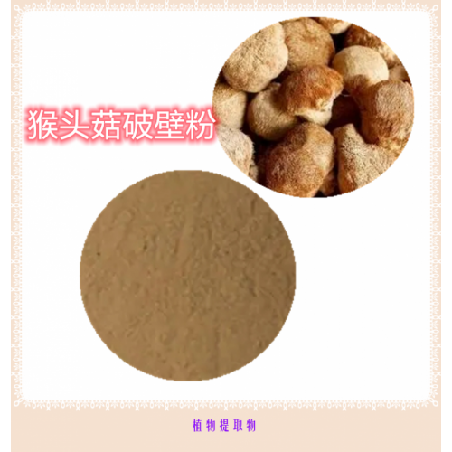 猴頭菇粉 猴頭菇提取物 猴頭菇浸膏   猴頭菇破壁粉