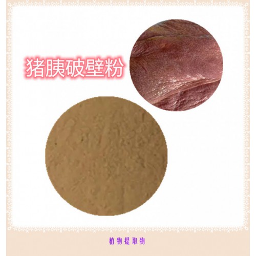 豬胰粉 豬胰提取物 豬胰浸膏 豬胰破壁粉