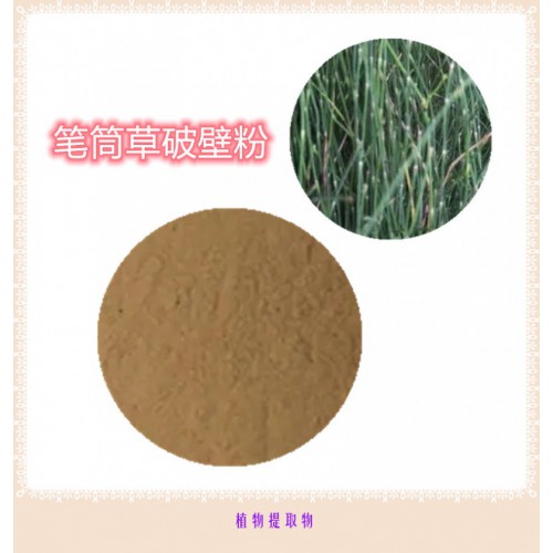筆筒草粉 筆筒草提取物 筆筒草浸膏 筆筒草破壁粉