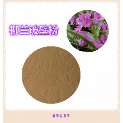 柳蘭提取物 柳蘭浸膏  柳蘭粉   柳蘭破壁粉