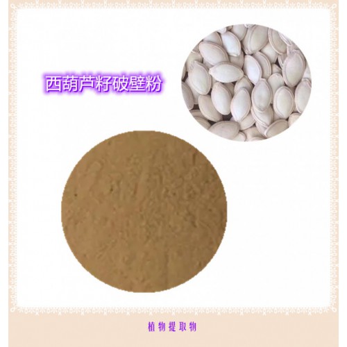 西葫蘆籽提取物 西葫蘆籽浸膏  西葫蘆籽粉  西葫蘆籽破壁粉