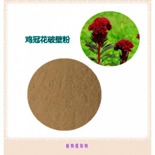 雞冠花粉 雞冠花提取物  雞冠花浸膏 雞冠花破壁粉