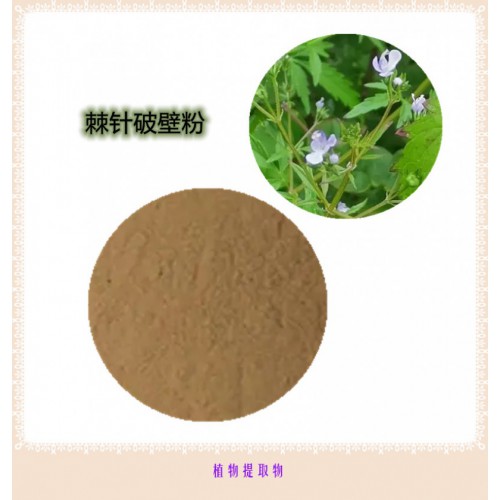 棘針粉 棘針提取物 棘針浸膏 棘針破壁粉