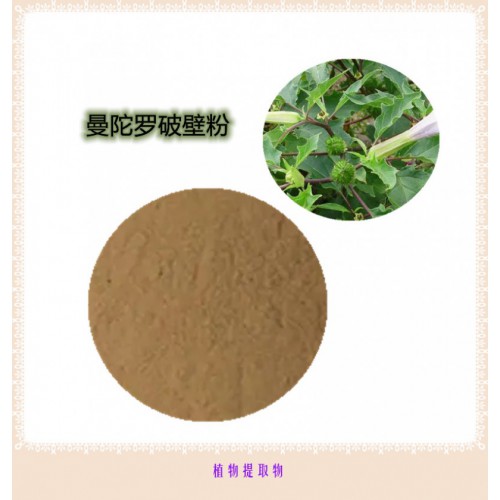 曼陀羅粉   曼陀羅提取物 曼陀羅浸膏  曼陀羅破壁粉