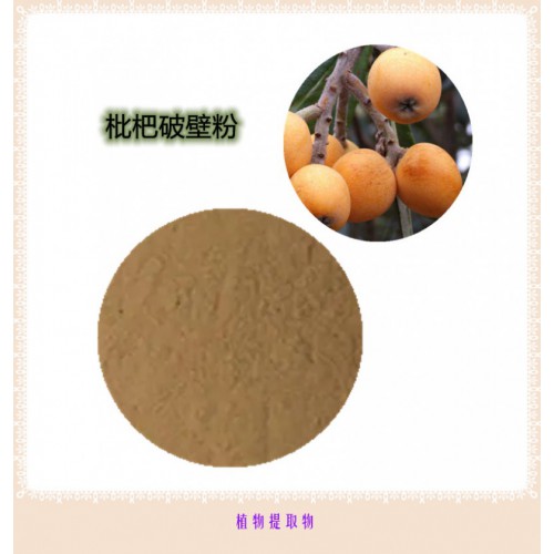 枇杷粉  枇杷提取物 枇杷浸膏 枇杷破壁粉