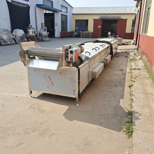 西藍(lán)花殺青機(jī) 菠菜漂燙機(jī)  胡蘿卜絲焯水機(jī)