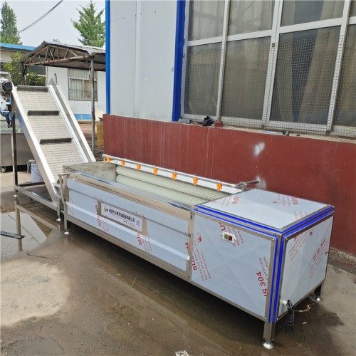 義康牌 蘿卜清洗機  胡蘿卜清洗設(shè)備 藠頭清洗機