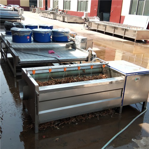 義康制造  馬蹄清洗機(jī) 蘿卜清洗機(jī)  洋蔥脫皮清洗機(jī)