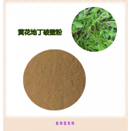 黃花地丁粉  黃花地丁提取物 黃花地丁浸膏 黃花地丁破壁粉