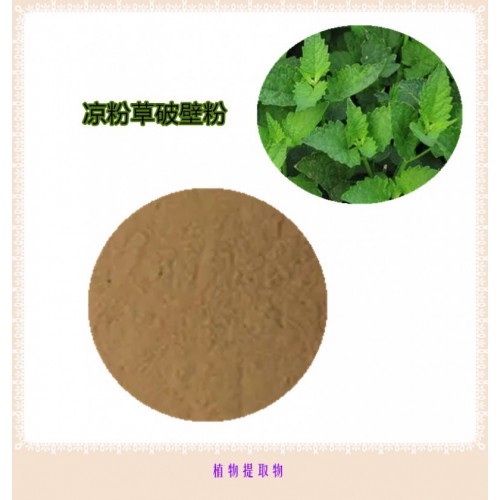 涼粉草粉  涼粉草提取物 涼粉草浸膏 涼粉草破壁粉