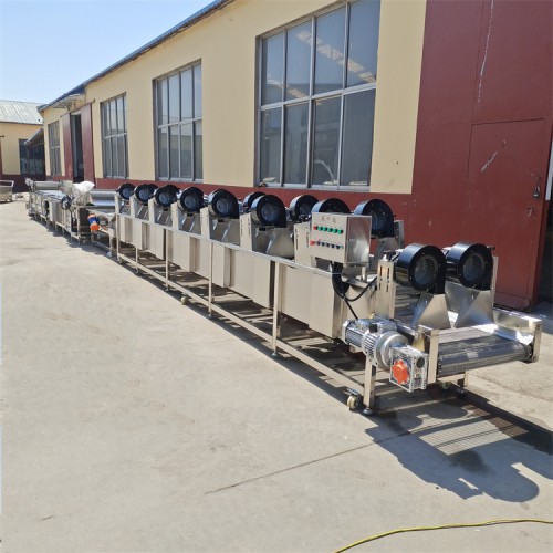 葡萄風干機  辣椒去水風干線  果凍風干機器