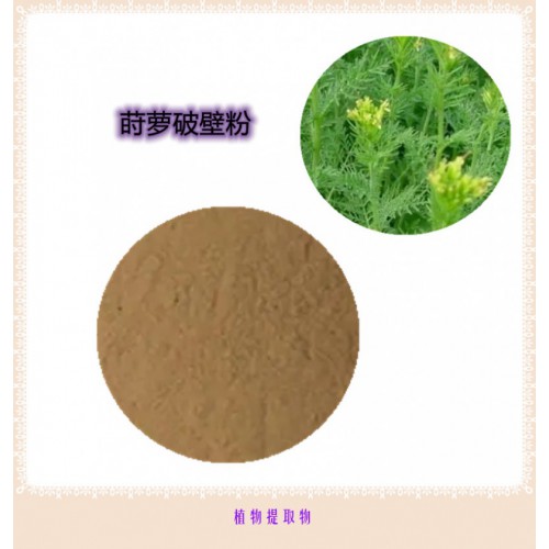 蒔蘿粉 蒔蘿提取物 蒔蘿浸膏 蒔蘿破壁粉