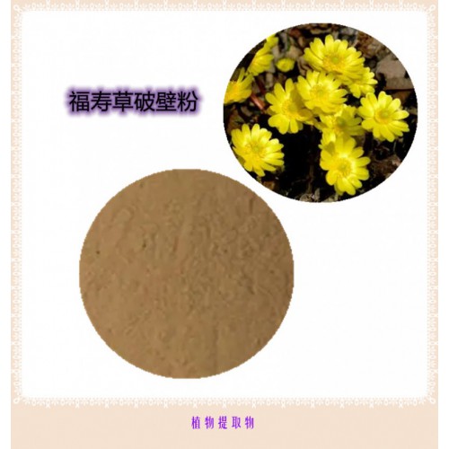 福壽草粉 福壽草提取物 福壽草浸膏 福壽草壁粉