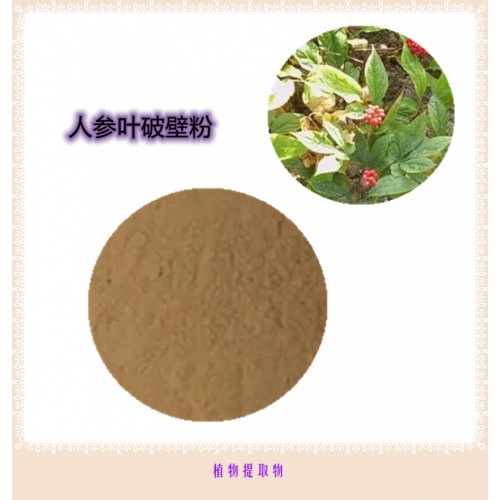 人參葉粉 人參葉提取物 人參葉浸膏 人參葉破壁粉