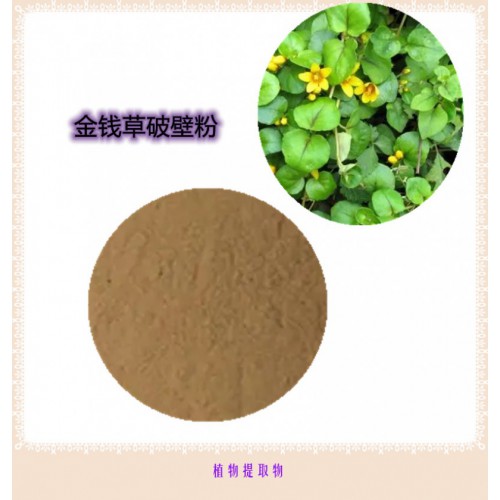 金錢草粉 金錢草提取物 金錢草浸膏 金錢草破壁粉