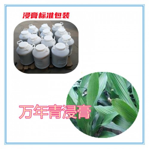 萬年青提取物   萬年青浸膏 萬年青粉 萬年青破壁粉