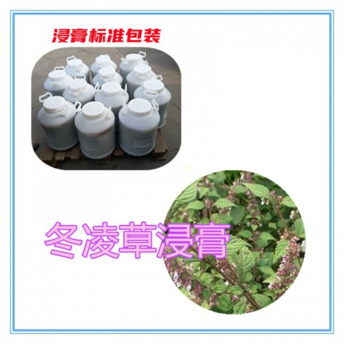 冬凌草提取物 冬凌草浸膏 冬凌草粉 冬凌草破壁粉