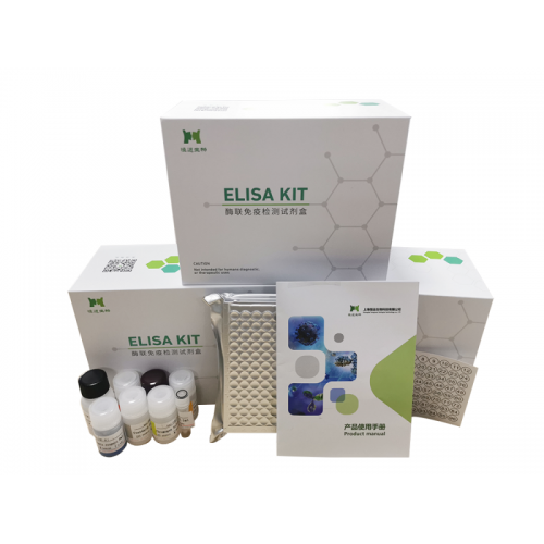 人白介素6(IL-6)ELISA試劑盒恒遠(yuǎn)生物供應(yīng)