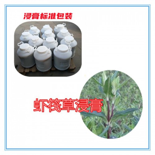 蝦筏草粉  蝦筏草提取物 蝦筏草浸膏  蝦筏草破壁粉