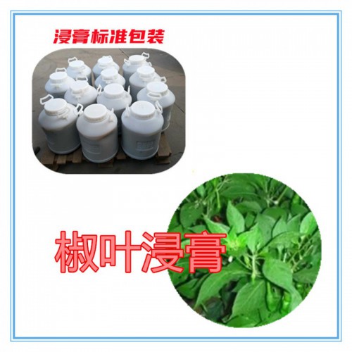 椒葉提取物 椒葉粉 椒葉破壁粉  椒葉提取液