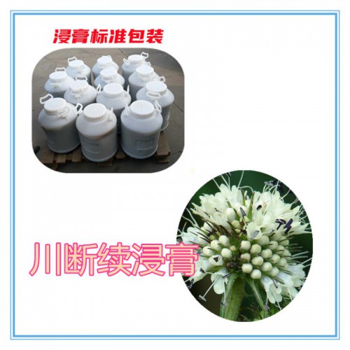 川斷續提取物 川斷續粉 川斷續浸膏 川斷續提取液