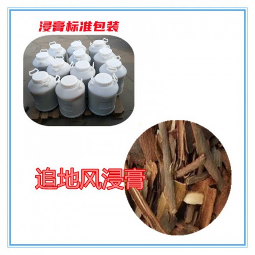 追地風粉 追地風提取物 追地風浸膏 追地風破壁粉