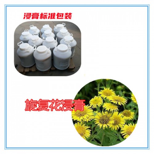 旋復花粉 旋復花提取物 旋復花浸膏 旋復花破壁粉