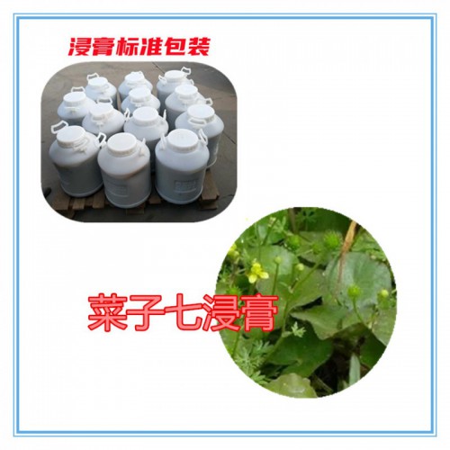 菜子七粉 菜子七提取物  菜子七浸膏  菜子七破壁粉