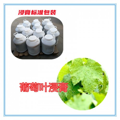 葡萄葉粉 葡萄葉提取物  葡萄葉浸膏  葡萄葉破壁粉