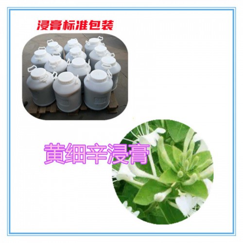 黃細辛粉 黃細辛提取物   黃細辛浸膏  黃細辛破壁粉