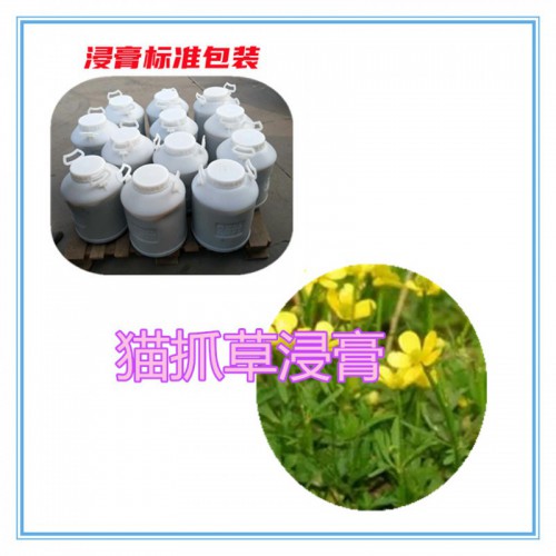 貓抓草速溶粉  貓抓草提取物  貓抓草浸膏 貓抓草浸膏粉