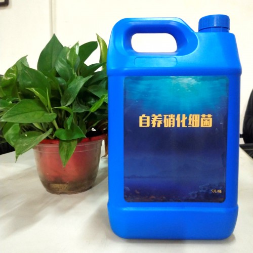 硝化菌種 微生物硝化菌種 開碧源反硝化菌種