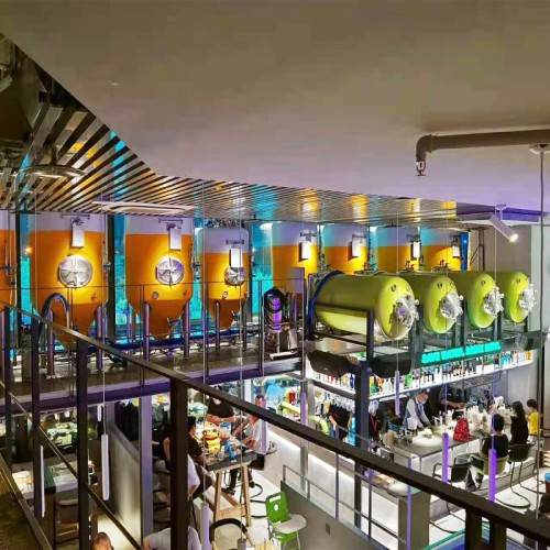 啤酒設(shè)備廠家供應(yīng)500升小型啤酒廠設(shè)備家用釀酒設(shè)備扎啤機(jī)