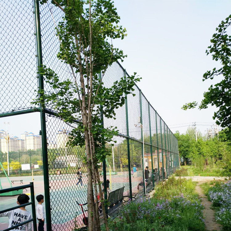 籃球場圍網(wǎng)21