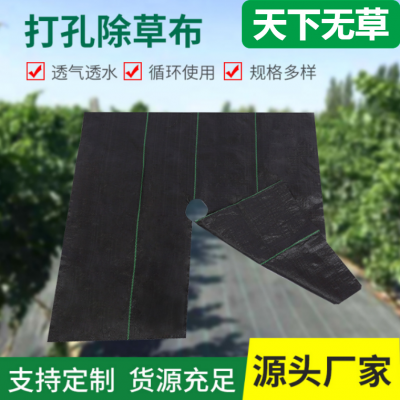 打孔防草地布   果園大棚除草布   防草布批發(fā)