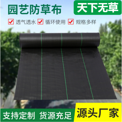 防草布 園藝防草布 防草布批發(fā)