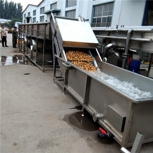 藥材噴淋清洗機  大姜清洗機  姜芽噴淋清洗設(shè)備