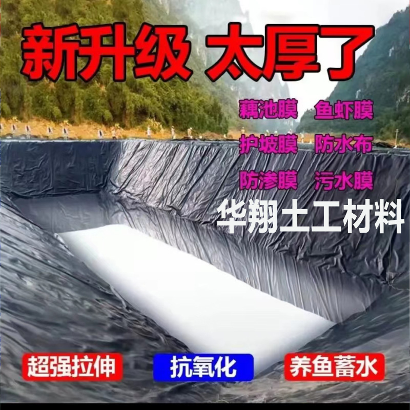 預(yù)合成 3 (0-00-00-00)66