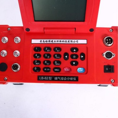 LB-62 便攜式綜合煙氣測(cè)試儀 可測(cè)多種氣體  煙氣測(cè)試儀