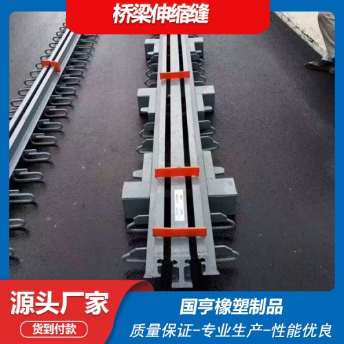 橋梁伸縮縫 80型模數式伸縮縫 160型伸縮縫膠條