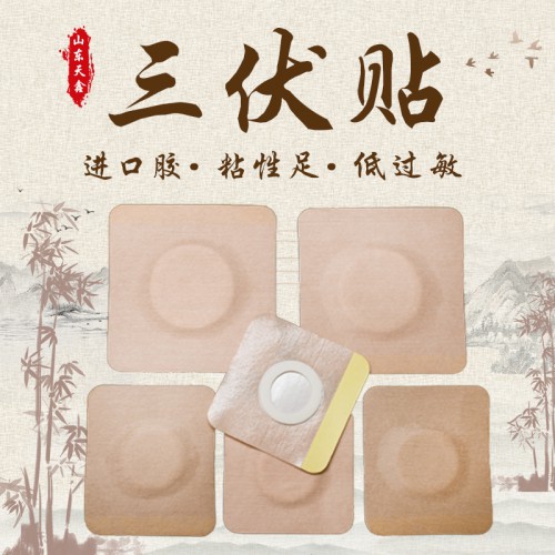 三伏貼批發 空貼膏藥定制