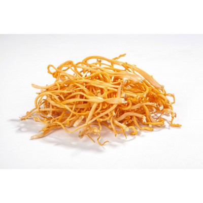 廣東蟲草子實體提取物