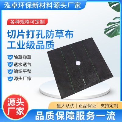PE果樹除草布 切片打孔防草布 花卉園藝地布