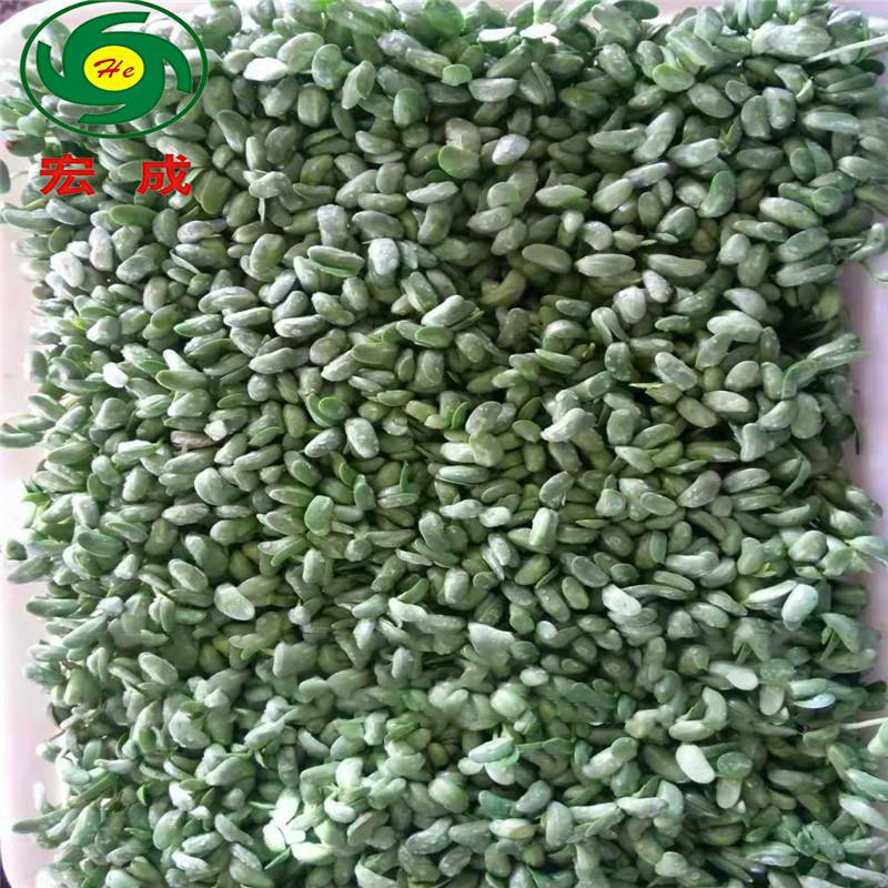 微信圖片_20201229085212