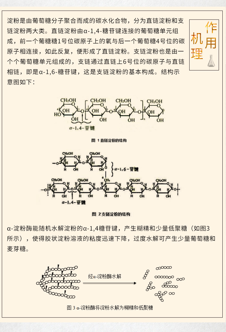食品級(jí)α-淀粉酶（中溫-AAS型）詳情_(kāi)05