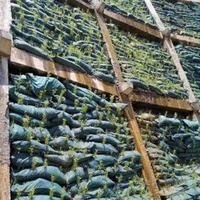 框格梁綠化 框格梁 框架梁